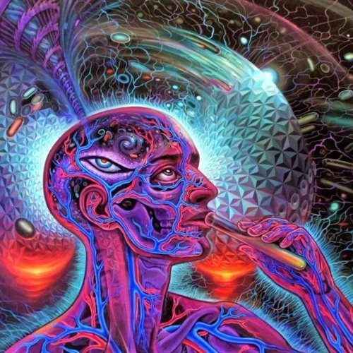 Nibana - The Ingredient Of Intelligence
