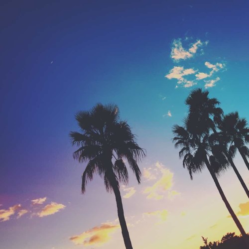 Blue Dreams