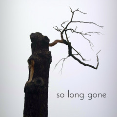 So Long Gone