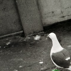 sad music for sad people