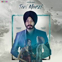 Teri Marzi