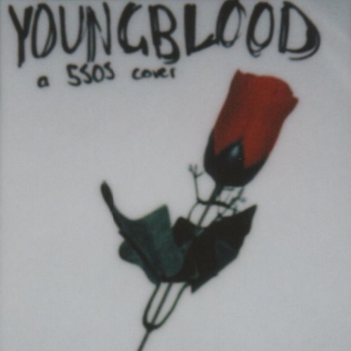 Youngblood (5 Seconds of Summer Cover)