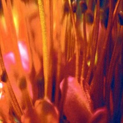 Show Us To The Sky (original guitar demo, 2008)