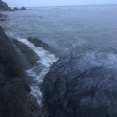 Coastal Rock Side - Storm-surge Washes