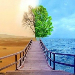 PierroX - Indécis ©