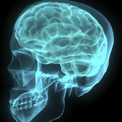 ..what we had in mind