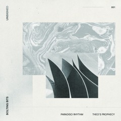 UNSIGNED 001: Paradiso Rhythm - Theo's Prophecy