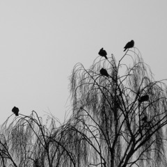 Melancholy