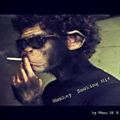 Monkey Smoking by Manu Of G