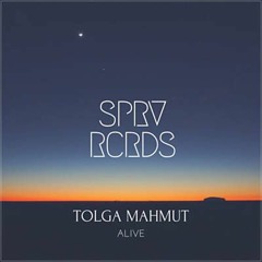 Tolga Mahmut - Alive ( Original Mix )