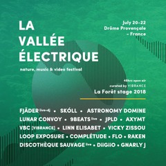 La Vallée Électrique 2018 : la Forêt stage