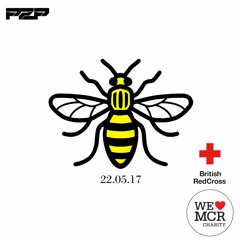 PZP - UNITE (in aid of WELOVEMCR charity)