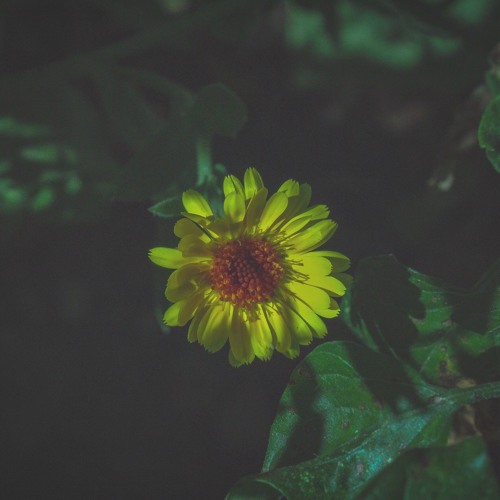 Katy Perry & Catie Turner Perform Part Of Me