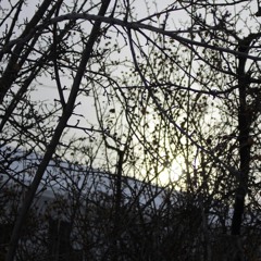 It's Still Me (I Swear to God)