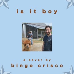 Is It, Boy? (mac cover)