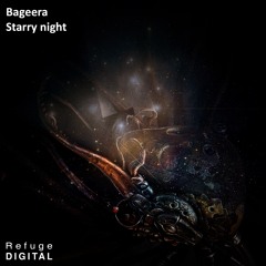 Bageera - Starry Night (Torsten Kanzler Remix)