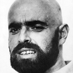 Ghost in the Shel? The royal wedding edition