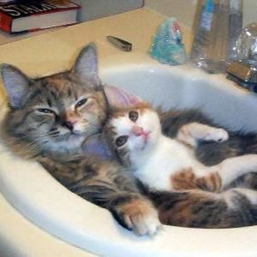 Treacherous Illiterate