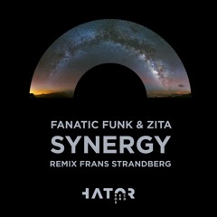 Fanatic Funk & Zita - Synergy (Frans Strandberg Remix)