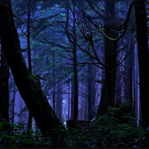 toxic [prod. jay vee]