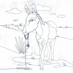 Donkey in the Desert