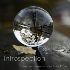 Introspection