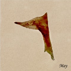 Download: Djebali - May(OAM05)