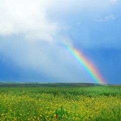 葬りなさい（CHIBAver）