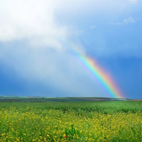 葬りなさい（CHIBAver）