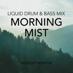 "Morning Mist" ~ Liquid Drum & Bass Mix