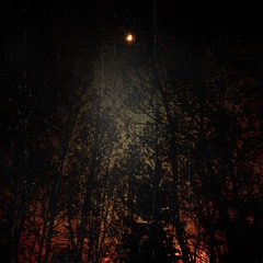 Shadow On Night