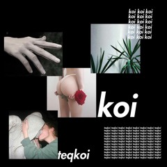 Teqkoi & Ondi Vil - Goodbye Song