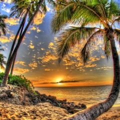 Kygo  Rick Astley Never Gonna Give You Up - Mac Beez