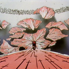 Kokuhaku Shoukoushitsu