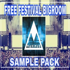FREE FESTIVAL BIGROOM SAMPLE PACK PREVIEW
