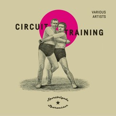 PREMIERE: Schlepp Geist - Sverige [Circuit Training]