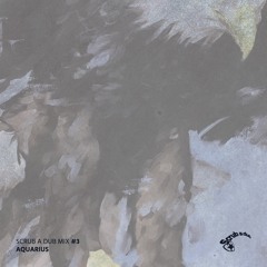 Aquarius - Scrub A Dub Mix #03