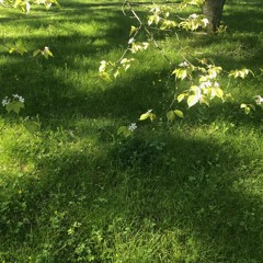 Improvised Take 2018 #2