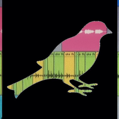 Lullaby Bird Song