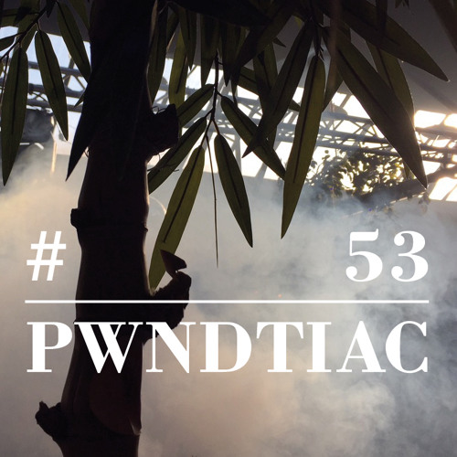 RIOTVAN RADIO #53 | PWNDTIAC