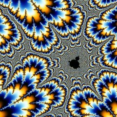 fractal picnics
