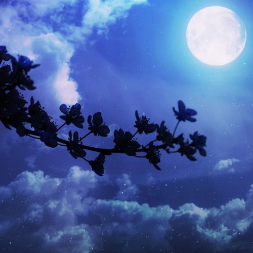 月まで届け 不死の煙 アレンジ Lune Fumee By Udouddo 月まで届け 不死の煙 アレンジ Lune Fumee By Udouddo