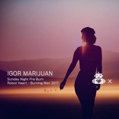Igor Marijuan - Robot Heart 10 Year Anniversary - Burning Man 2017