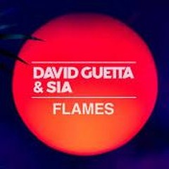 Sia & David G. Vinny C. Las B.VZ - Flames (Hugo Warllen  Pvt MAsh)