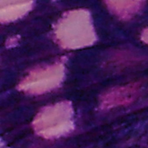 Mad World - sinejan / numbers in the dream