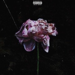 Fallen Angel / She Loves Me Not Part 2