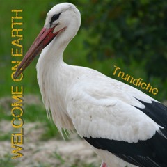 Trundicho Interview Radio Rumsenden.de mit "Welcome On Earth"