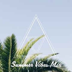 CINCO Chronicles 10.0 / Summer Vibes Mix