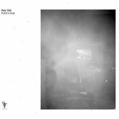 Petr YAC - PLDE In Dub (dym records) album snippets