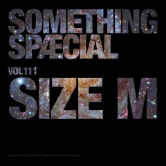 SIZE M: SPÆCIAL MIX 111